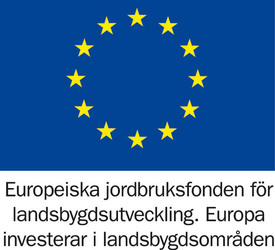 Logga EU-projekt
